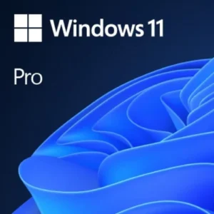 windows 11