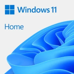 windows 11